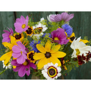 Zomerbloemenmengsel - Bauerngarten (Boerderijtuin/Erfbloemen) - 1 tot 100 g - BIODYNAMISCH