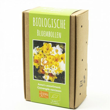 Anna's assortiment - Gemengde narcissen - 15 bollen - BIO