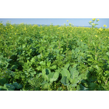 Biodiversiteitsmengsel - 25 kg - BIO