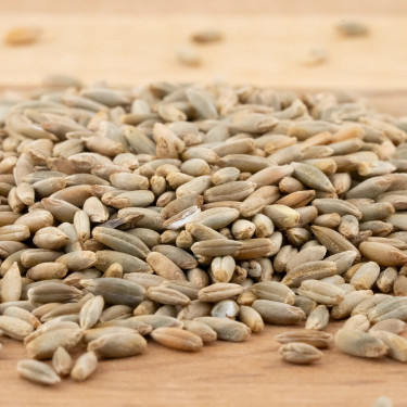 Rogge - kiemkrachtig - 1 kg - BIO