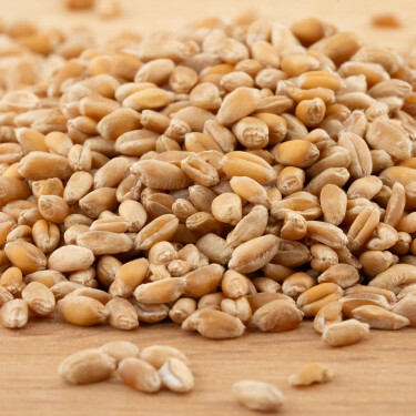 Tarwe - kiemkrachtig - 1 kg - BIO