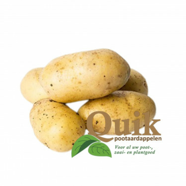 Pootaardappelen - Ditta - maat A 28/35 - 1kg - BIO