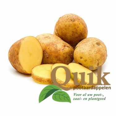 Pootaardappelen - Agria - maat A 28/35 - 1kg - BIO