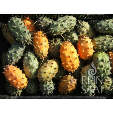 Gehoornde meloen - Kiwano - BIO