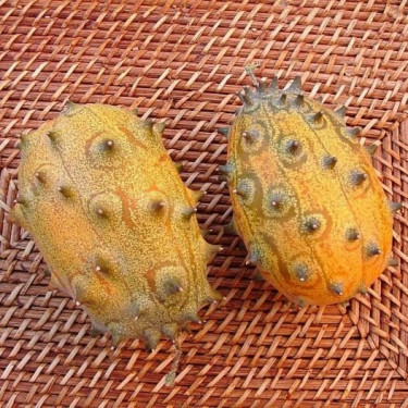 Stekelaugurk - Kiwano - BIO 