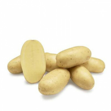 Pootaardappelen - Levante - maat A 30/40 - 1kg - BIO
