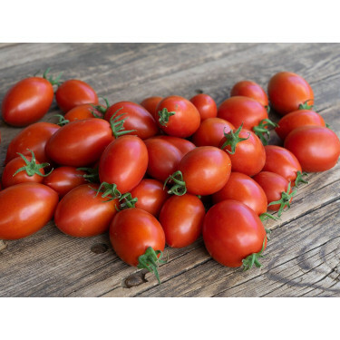 Roma-tomaat - Donnavita - BIODYNAMISCH