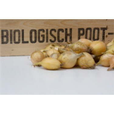 Ui - plantui, Sturon maat 10/22, 500g *