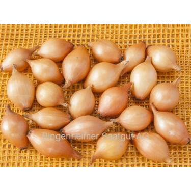 Plantui - Sturon - maat 10/22 - 500g - BIO