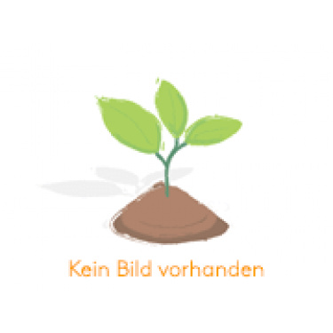 Zoete (blauwe) lupine -1 kg - BIO