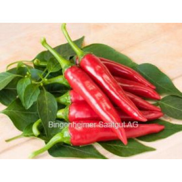 Spaanse Chili-peper - De Cayenne - BIODYNAMISCH