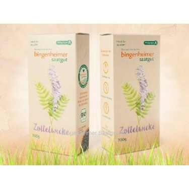 Winterwikke 300g - BIO