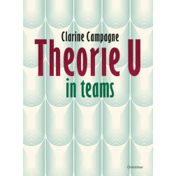 Theorie U in teams - Clarine Campagne