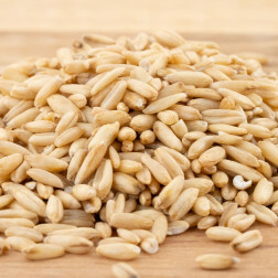 Gepelde haver - 1 kg - BIO