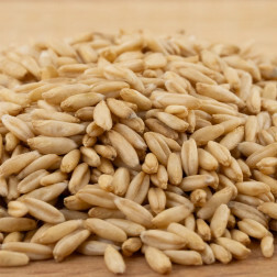 Naakte haver - kiemkrachtig - 1 kg - BIO
