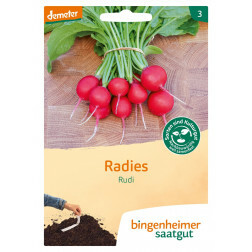 Radijs - zaadband - Rudi - BIODYNAMISCH