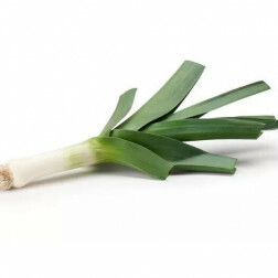 Winterprei - Dikke groene van Hoei - BIO