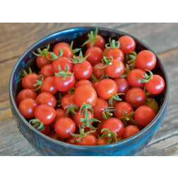 Wilde tomaat - Rote Murmel - BIODYNAMISCH