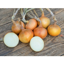 Zaai-Ui - Sturon  - BIODYNAMISCH