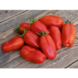 Roma-tomaat - San Marzano - BIODYNAMISCH