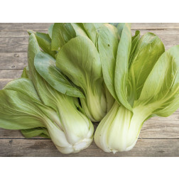 Paksoi - Yorokobi - BIODYNAMISCH