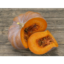 Pompoen - Muscat de Provence - BIODYNAMISCH