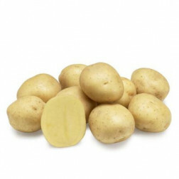 Pootaardappelen - Twister - maat A 30/40 - 1kg - BIO
