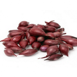 Plantui rood - Red Baron - maat 10/22 - 500g - BIO