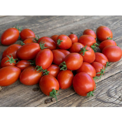 Roma-tomaat - Donnavita - BIODYNAMISCH
