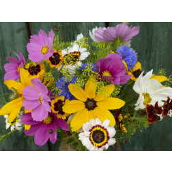 Zomerbloemenmengsel - Bauerngarten (Boerderijtuin/Erfbloemen) - 1 g - voor 1 m² - BIODYNAMISCH