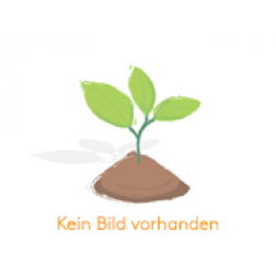 Zoete (blauwe) lupine -1 kg - BIO