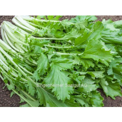 Raapsteel/Bladmoes - Namenia - BIODYNAMISCH