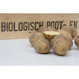 Pootaardappelen, Carolus maat 28/35, 1,38 kg (50 stuks) - BIO 
