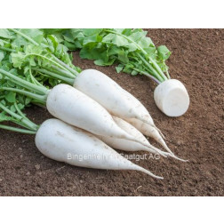 Rammenas - Laurin - BIODYNAMISCH