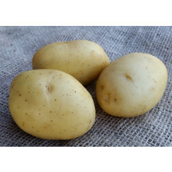 Pootaardappelen - Vitabella - maat A 28/35 - 1kg - BIO