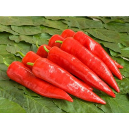 Paprika - Sweet Dreams - BIODYNAMISCH